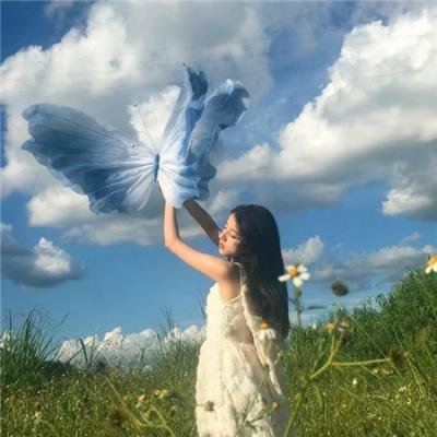 威尼斯计划